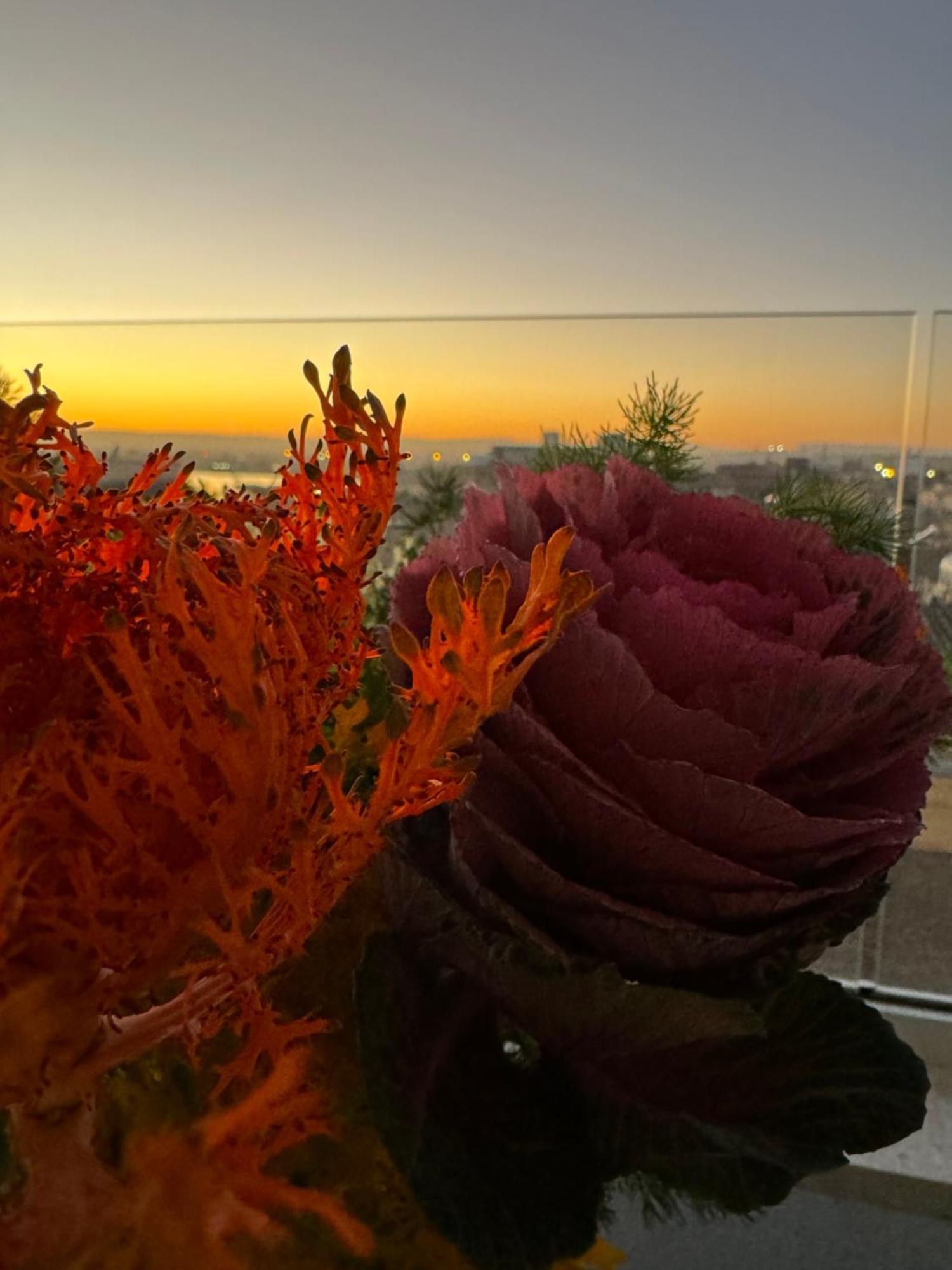 La Terrazza Sul Porto Couette-café