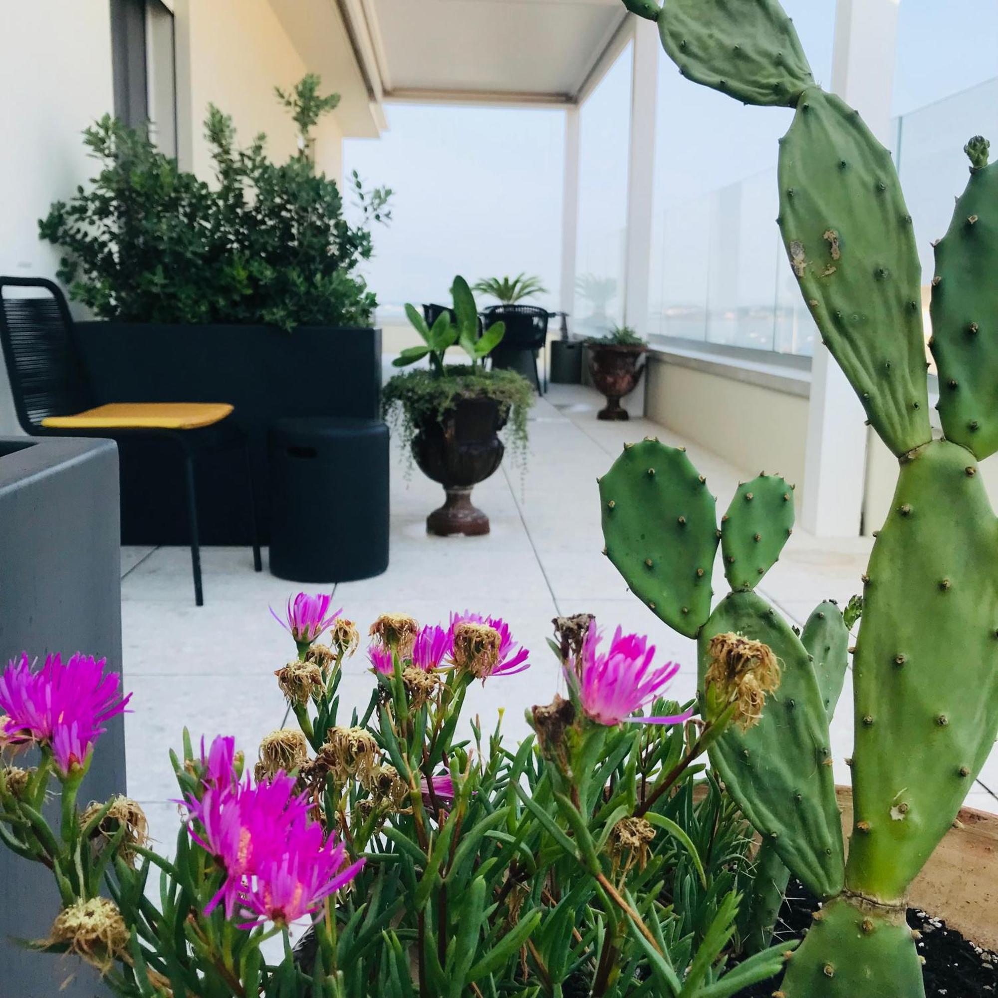 La Terrazza Sul Porto Couette-café *